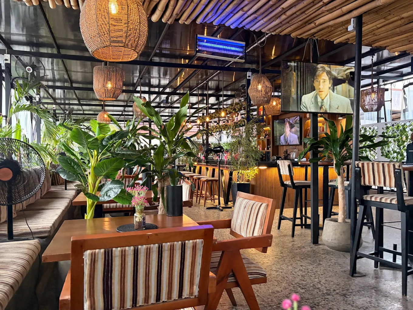 The Terrace, Lagos